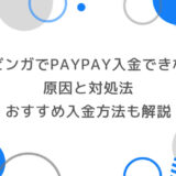 【2025年最新版】ブビンガでPayPay入金できない原因と対処法｜他のおすすめ入金方法も解説
