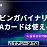 ブビンガバイナリー VISAカードは使える？