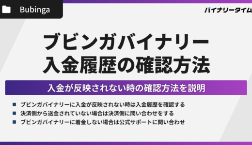 ブビンガの入金履歴を確認する方法とは？履歴が反映されない原因と対処法も解説